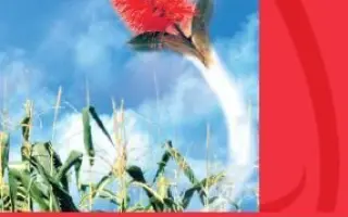 Каллисто 480 SC