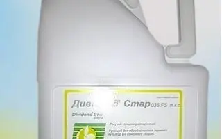 Дивидент Стар 036 FS