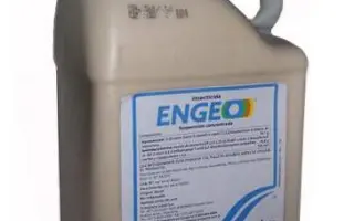 Энжио 247 SC / Engio 247 SC