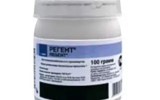 Регент 20G