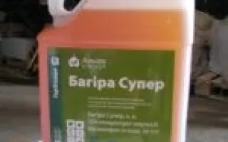 Багира Супер
