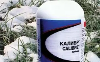 Калибр 75 / Calibre 75