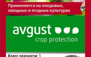 Шарпей