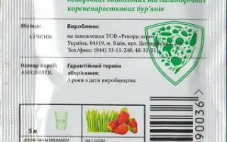 Астера