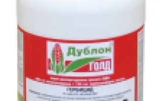 Дублон Голд