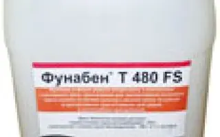 Фунабен Т 480 FS