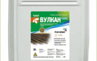 Вулкан Плюс