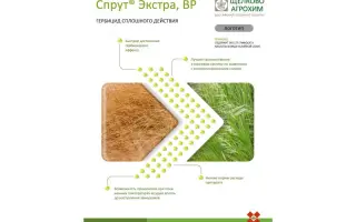 Спрут Экстра