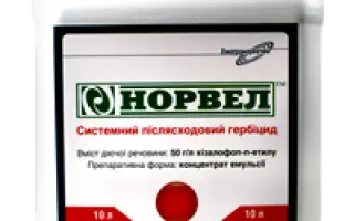 Норвел