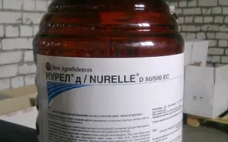 Нурелл Д / Nurelle D