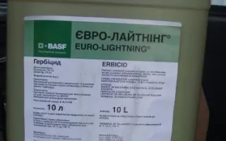 Евро-лайтнинг