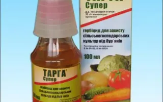 Тарга Супер