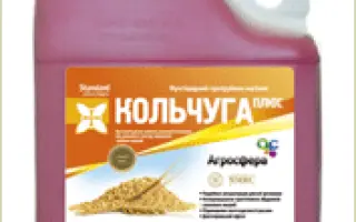 Кольчуга
