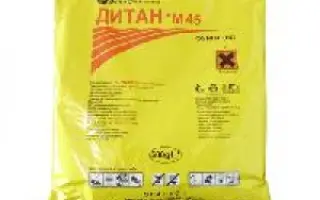 Дитан М-45