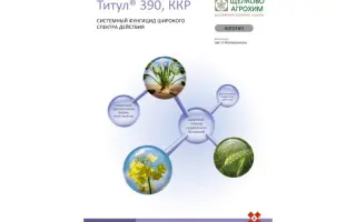 Титул 390 ККР