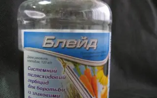 Блейд