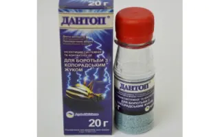 Дантоп