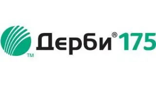 Дерби 175