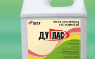 Дуглас