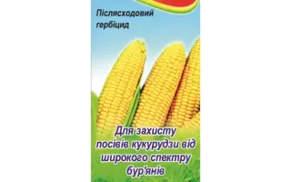 Муссон