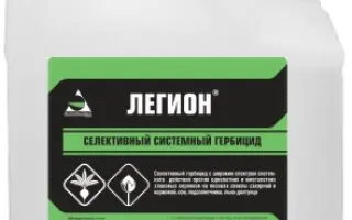 Легион
