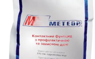 Метеор