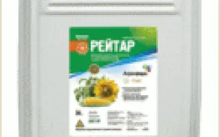 Рейтар