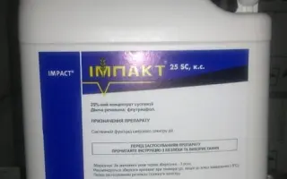 Импакт Т