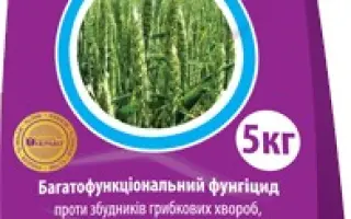 Фундазим