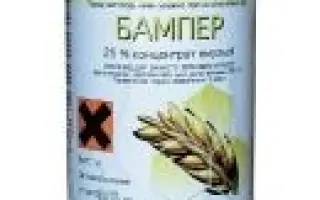 Бампер Супер 490