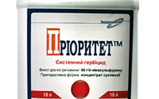 Приоритет