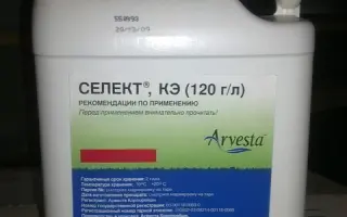 Клетодим (Селект)