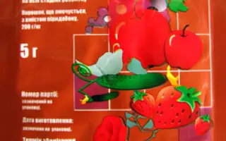 Таурус