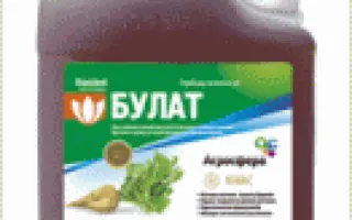 Булат