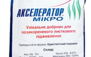 Акселератор, п.