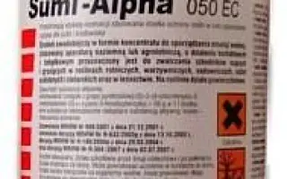 Суми-альфа
