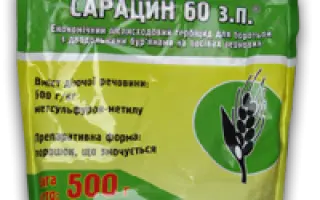 Сарацин