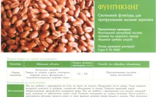 Фунгикинг