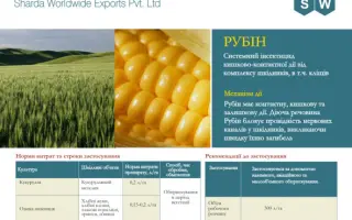 Рубин