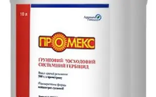 Промекс