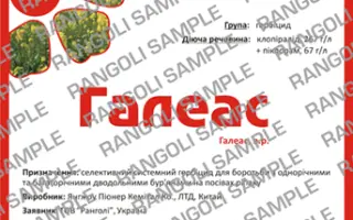 Галеас