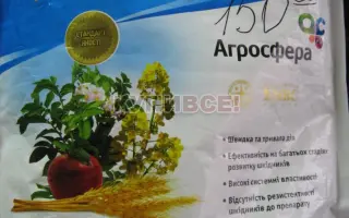 Ин Сет