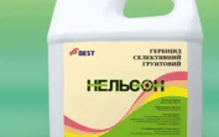 Нельсон