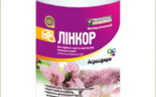 Линкор