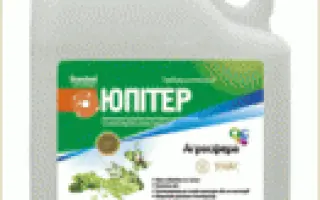 Юпитер