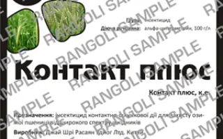 Контакт плюс