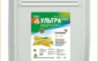 Ультра Плюс