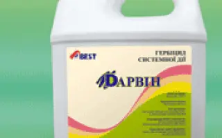 Дарвин