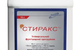 Стиракс