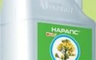 Нарапс